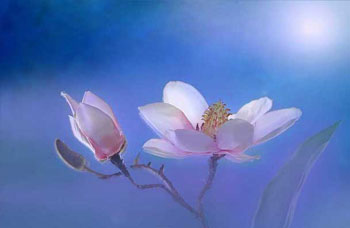 Reiki I